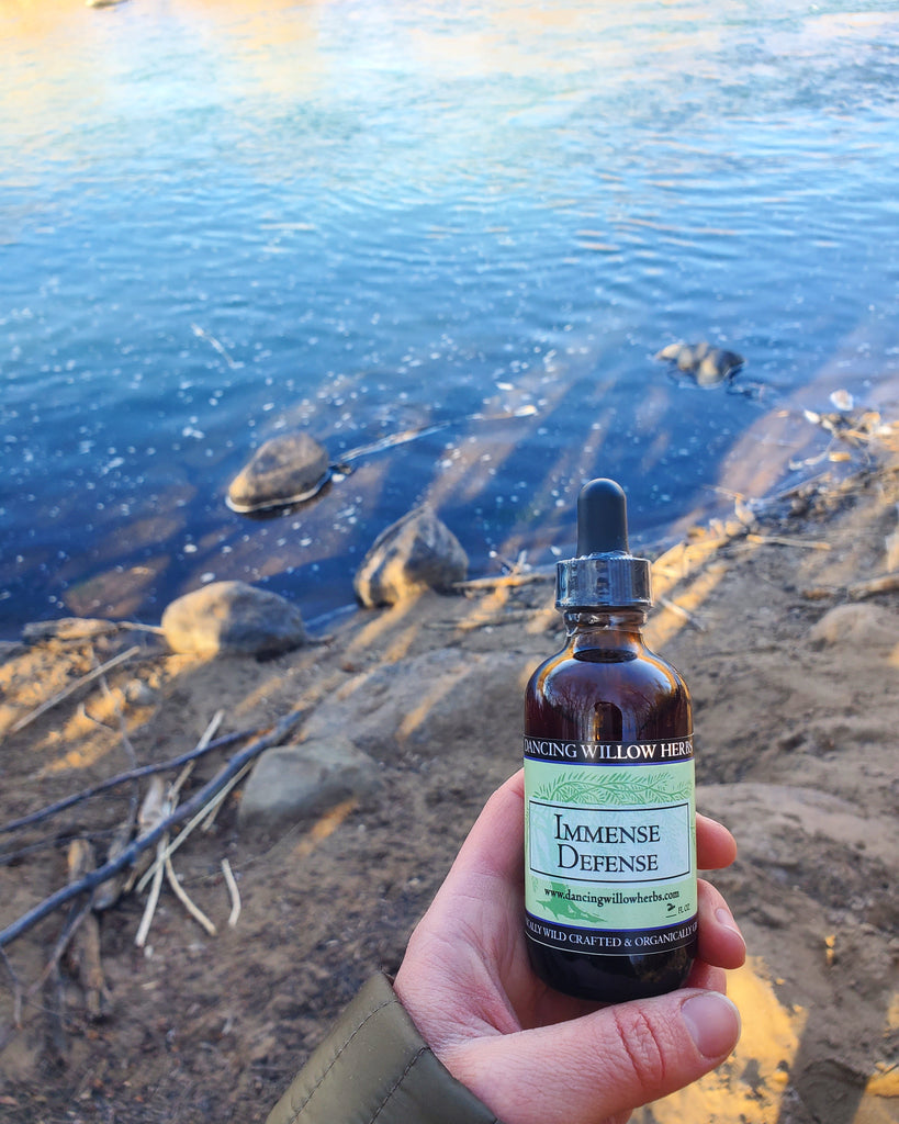 An Herbal Protocol for a Strong Immune System