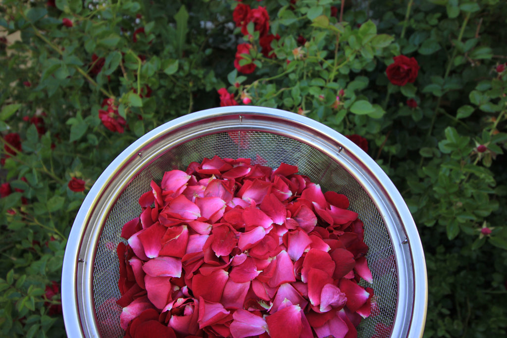 Menstrual Cycle 101: Herbal, Nutritional & Lifestyle Support