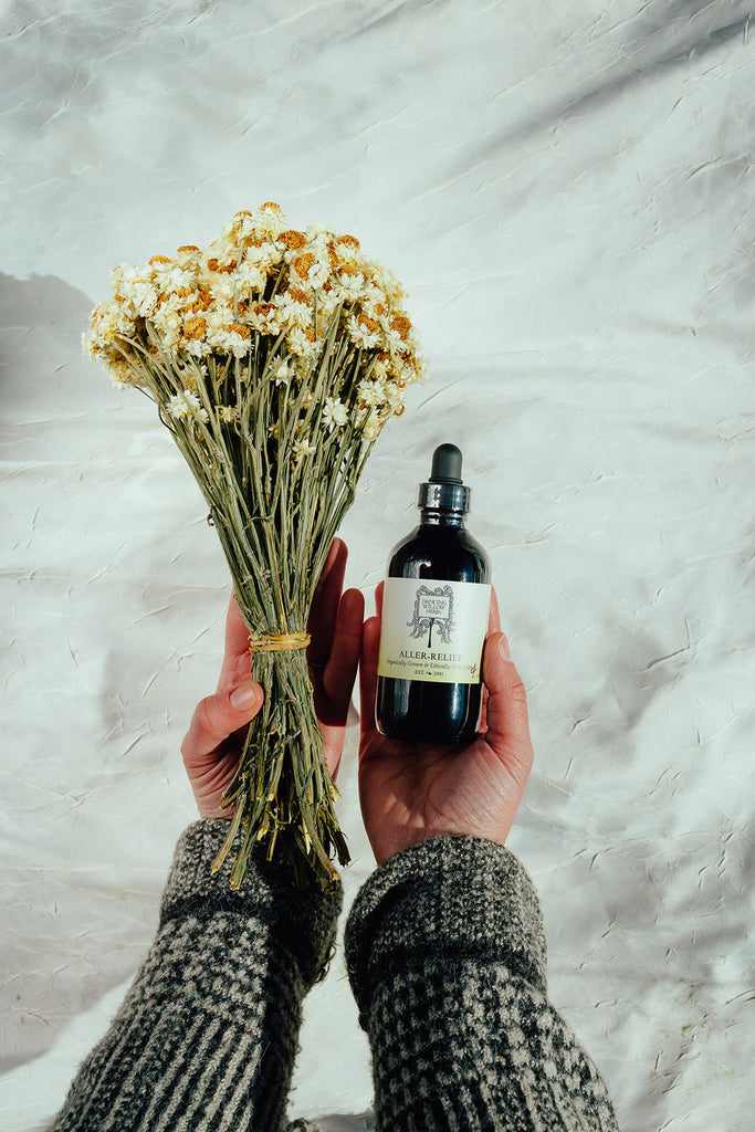 Deep Dive into Seasonal Allergies: A Clinical Herbalist Perspective