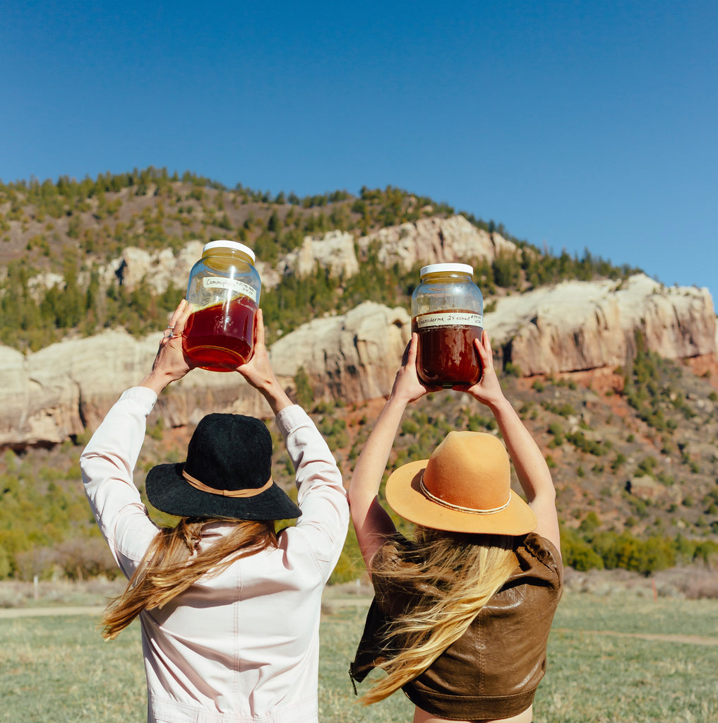 5 Tools for Windy Times