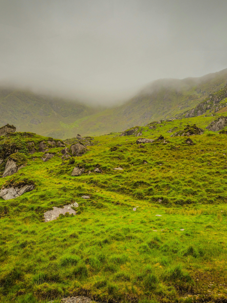 Being Shaped by the Earth: Psychedelics, Ancestry & Culture with Seán Pádraig O’Donoghue