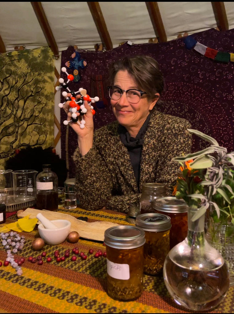 The Magic of Herbal Constituents: Plant Chemistry with Lisa Ganora