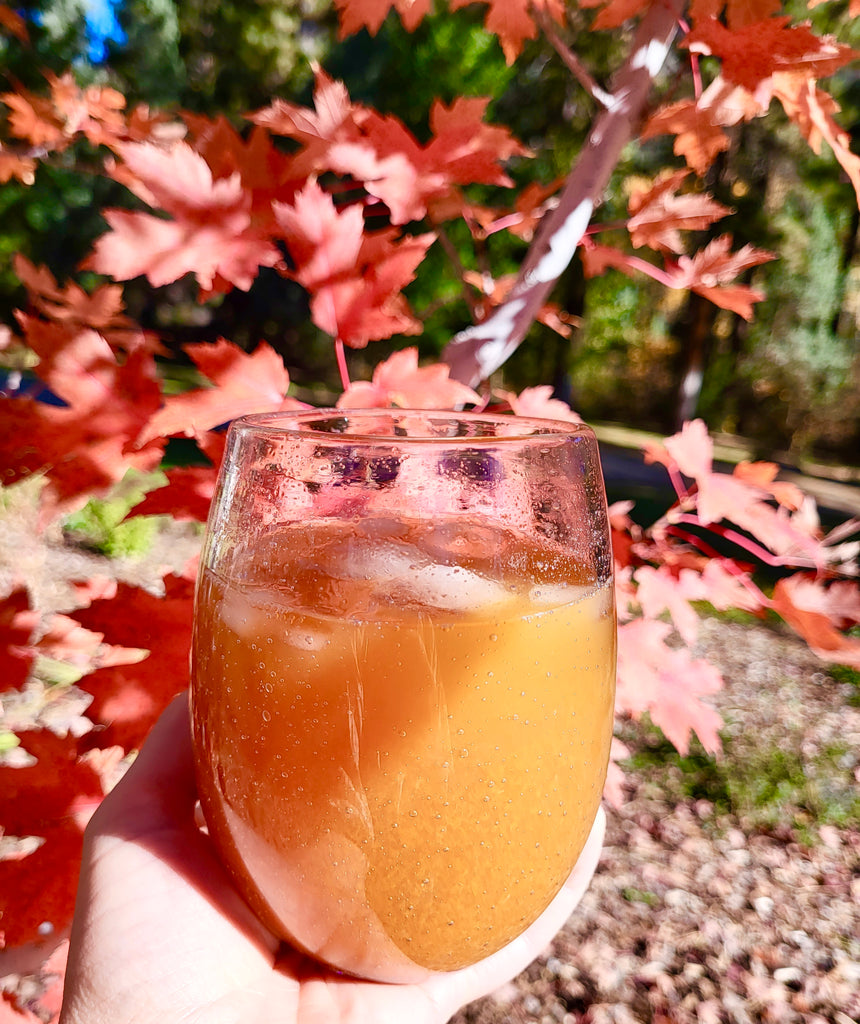 Extra Medicinal Mulled Pumpkin Orange Mocktail