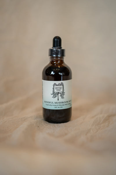 Mindful Mushroom Mix