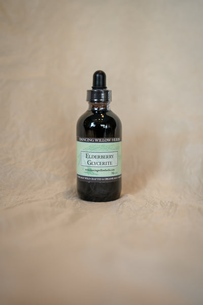 Elderberry Glycerite