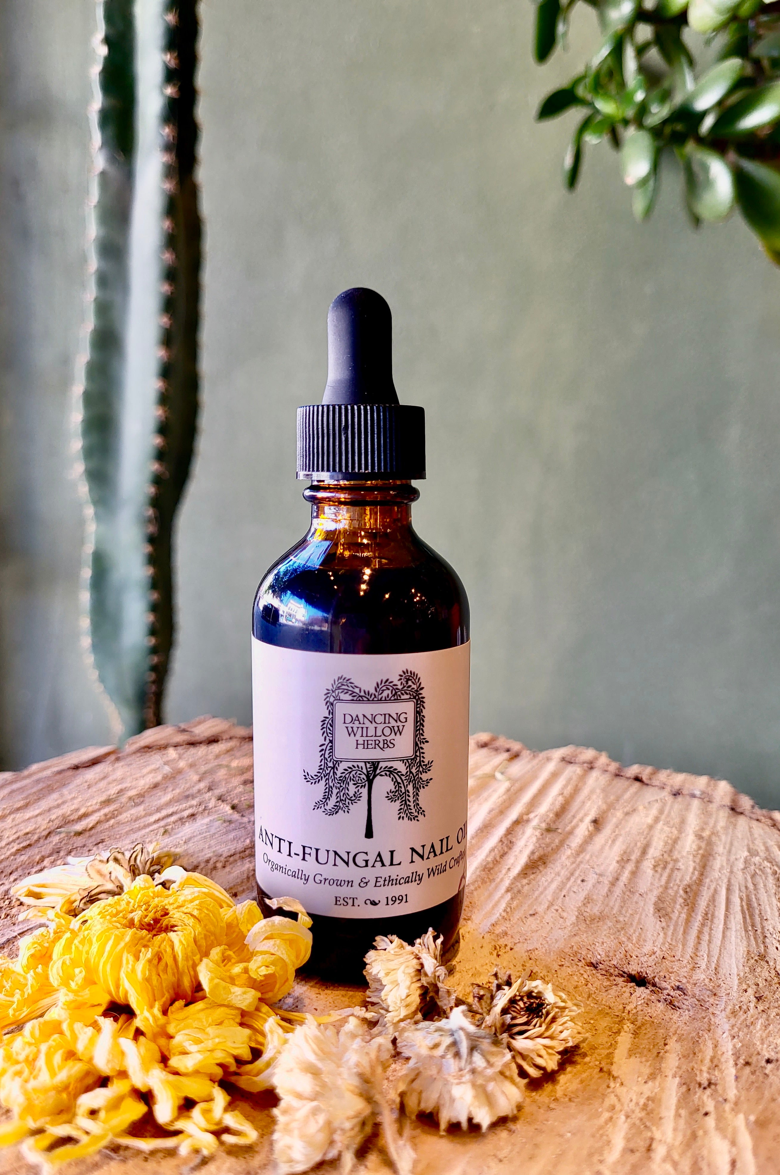 AntiFungal Nail Oil Dancing Willow Herbs